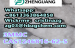 mediacongo