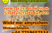 mediacongo