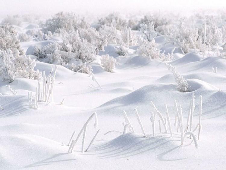 Je me souviens de lexcitation qui nous gagnait avec mes frres et surs lors des premires chutes de neige. Nous ne nous lassions pas de regarder tomber les flocons. Le lendemain