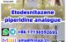 mediacongo