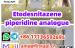 mediacongo