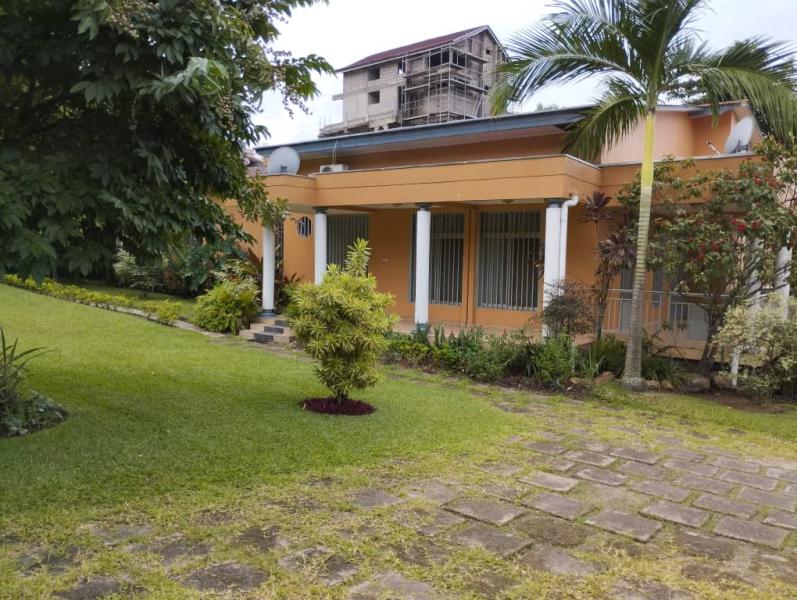 Mise en location dune parcelle  Ngaliema ma campagne