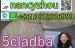 mediacongo