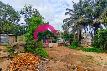 Magnifique terrain de 15m sur 13m avec vue sur Fleuve Congo  bonus dune tude du sol et un modle de plan dj labor. Ngaliema Camp Docteur ou Mimosa  bas prix 