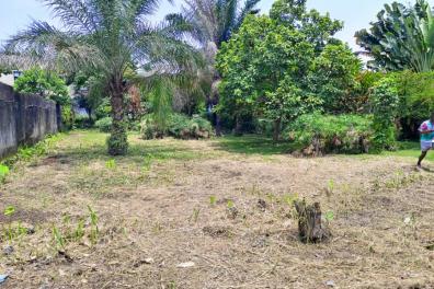 immobilier_vente_location Mme Mimi  