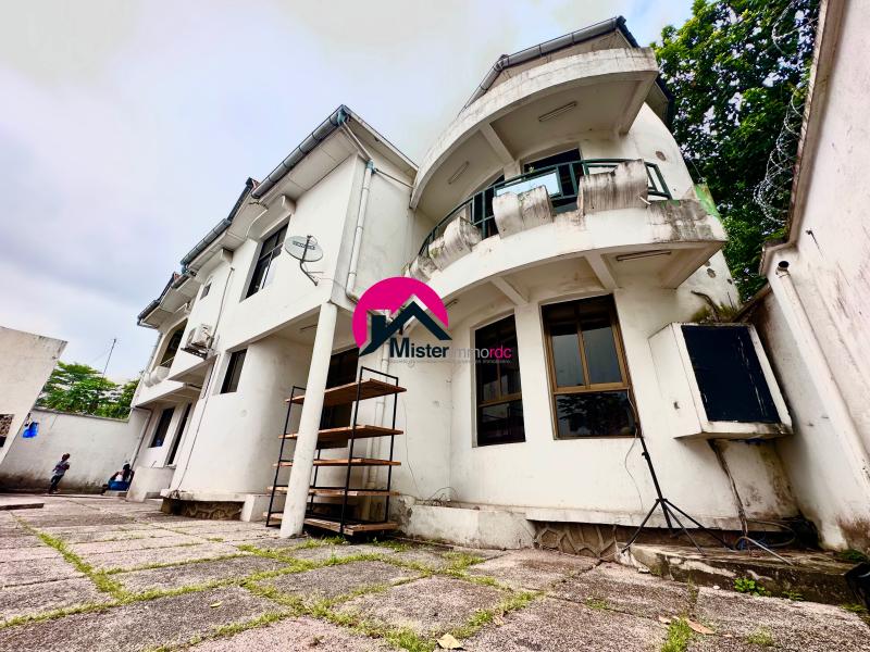 Magnifique villa de 18.95m sur 12.4m  servitude de 3.56m sur 28.56m dote dun superbe btiment de RC1 avec 3CHS annexe studio.  Ngaliema sur une rue asphalte 