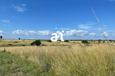 immobilier_vente_location AlainImmo  