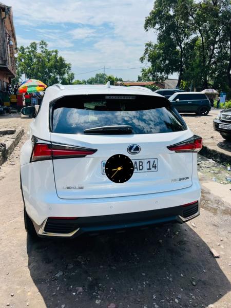 Lexus Nx300h