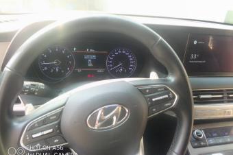 Vente Hyundai palissade sans plaque 