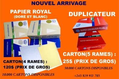 services_propositions_d_affaires Saint Immo  