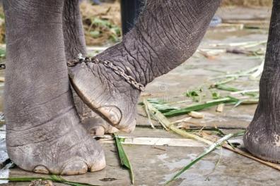 services_propositions_d_affaires Douceur  