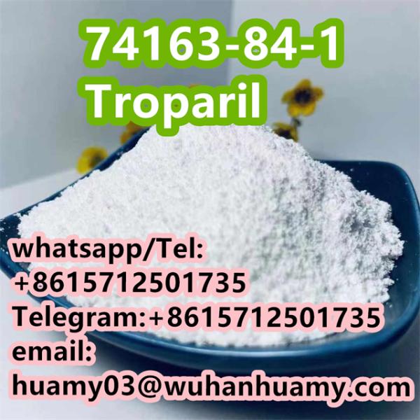 CAS 74163841 Troparil white powder factory wholesale from China
