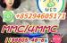 mediacongo