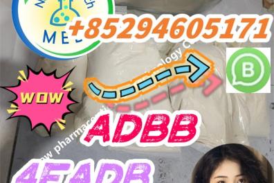 mode_habillement_bijoux_montres_chaussures_lunettes Anonyme  