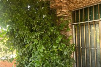 Parcelle  vendre dans la commune de Masina 