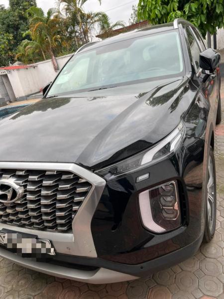 Hyundai palissade 