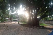 Location 2 appartements à kinsuka mimosa  immobilier_vente_location