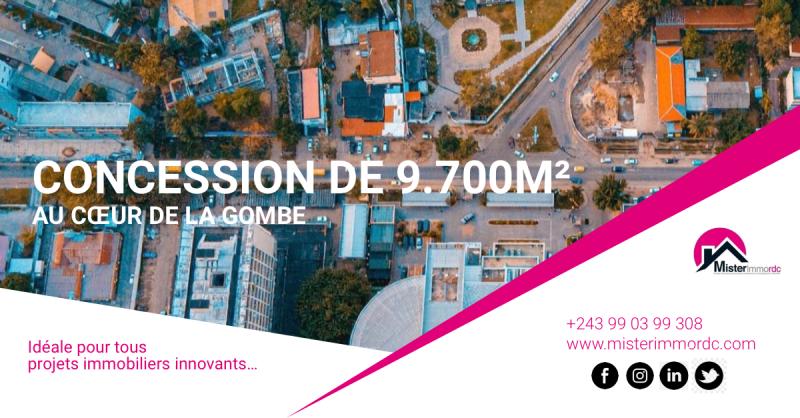 Belle concession prive prs dun hectare 9.700m idale pour tous projets immobiliers innovants au cur de la Gombe  850 par m