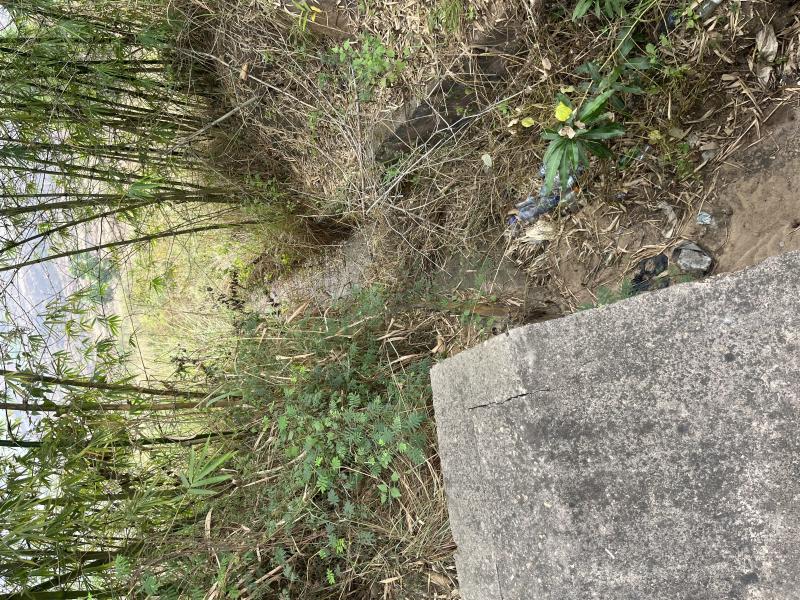 Terrains de 20m sur 20m et 30m sur 30m  vendre dans la commune de Maluku nsele sur le macadam ventre dun hectare possible et location possible galement prix dun terrain 6500
