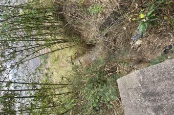 Terrains de 20m sur 20m et 30m sur 30m  vendre dans la commune de Maluku nsele sur le macadam ventre dun hectare possible et location possible galement prix dun terrain 6500
