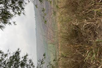 Terrains de 20m sur 20m et 30m sur 30m  vendre dans la commune de Maluku nsele sur le macadam ventre dun hectare possible et location possible galement prix dun terrain 6500