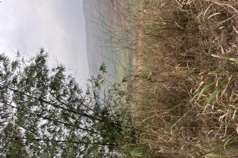 Terrains de 20m sur 20m et 30m sur 30m  vendre dans la commune de Maluku nsele sur le macadam ventre dun hectare possible et location possible galement prix dun terrain 6500