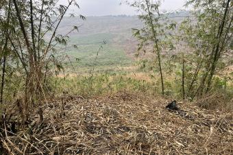 Terrains de 20m sur 20m et 30m sur 30m  vendre dans la commune de Maluku nsele sur le macadam ventre dun hectare possible et location possible galement prix dun terrain 6500