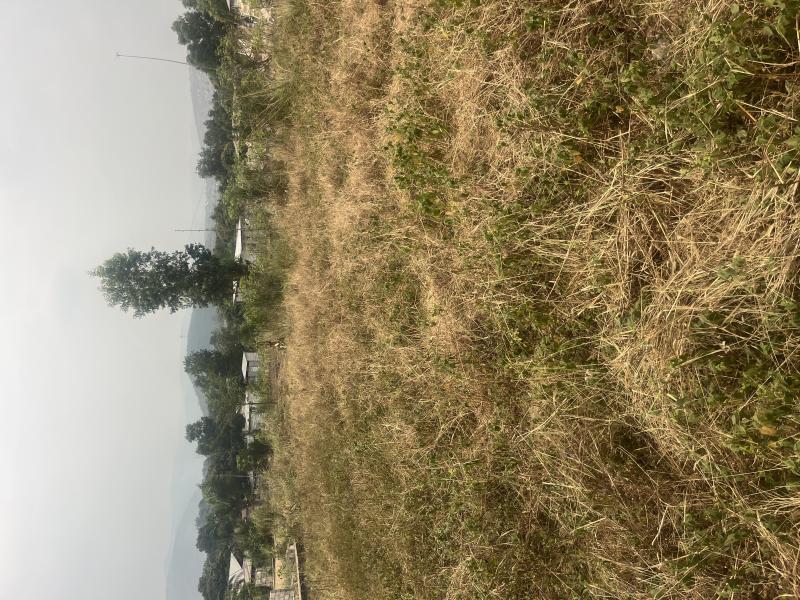 Terrain de 40m sur 35m  dans la commune de nsele a quelques minutes de la chausse  