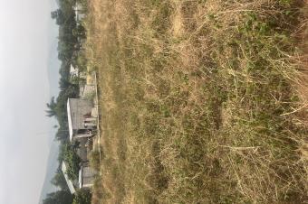 Terrain de 40m sur 35m  dans la commune de nsele a quelques minutes de la chausse  