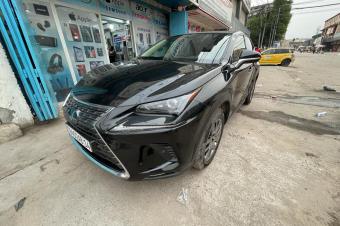 Lexus NX 300 2020  Matcha Gari