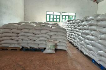 Vente les graines de Soja 