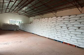 Vente les graines de Soja 