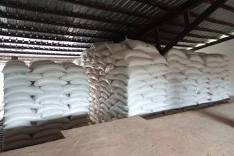 Vente les graines de Soja 