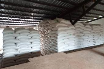 Vente les graines de Soja 