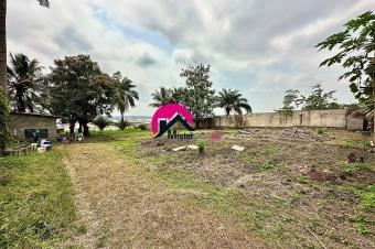 Belle proprit au bord du Fleuve Congo de 35m sur 100m soit 3.500m avec une annexe dune pice. Situe  150m de la route asphalte. Ngaliema