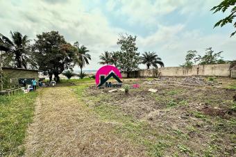 Belle proprit au bord du Fleuve Congo de 35m sur 100m soit 3.500m avec une annexe dune pice. Situe  150m de la route asphalte. Ngaliema