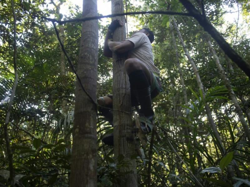 Lche la branche