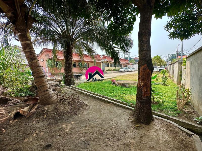 Vente dune parcelle de 37.50m sur 42.44m en 3me position avec la principale et ayant 4 apparts gurite jardin parking etc. Ngaliema prs du Palais des Marbres