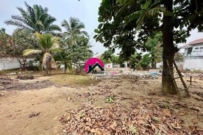 immobilier_vente_location Misterimmordc  