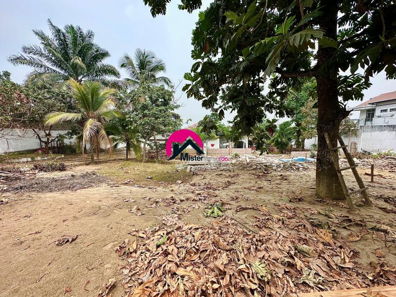 Vente des 2 magnifiques terrains de 13m sur 27m et 13.86m sur 27m borns  n cadastraux prs de la principale  Ngaliema BinzaPigeon