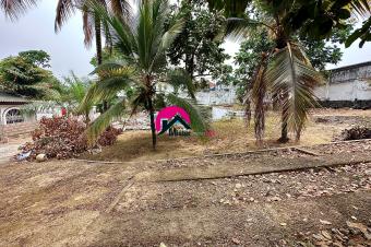 Vente des 2 magnifiques terrains de 13m sur 27m et 13.86m sur 27m borns  n cadastraux prs de la principale  Ngaliema BinzaPigeon
