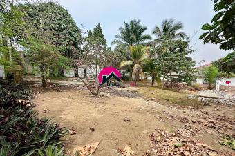 Vente des 2 magnifiques terrains de 13m sur 27m et 13.86m sur 27m borns  n cadastraux prs de la principale  Ngaliema BinzaPigeon