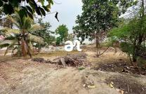 VENTE: DEUX TERRAINS BIEN SITUÉS SUR KINSHASA-PIGEON mediacongo