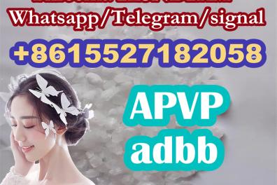 perdu_de_vue_avis_de_recherche Anonyme  