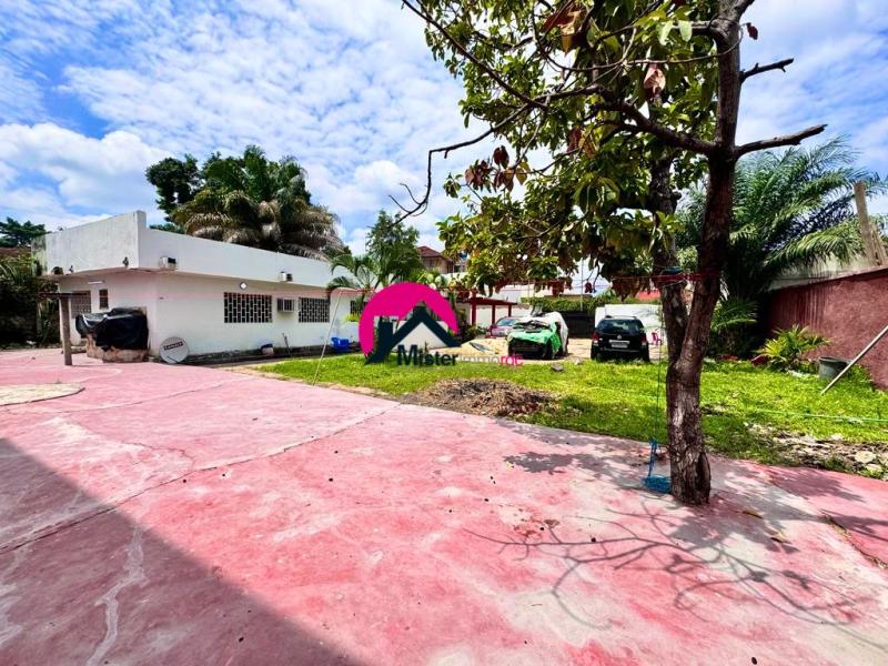 Vente dune dune belle villa de 30m sur 30m et dote dune grande maison basse dpoque des 3CHS  rnover etc. BinzaMacampagne prs de la place commerciale