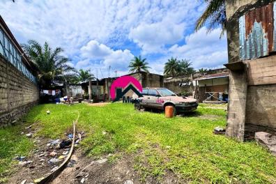 immobilier_vente_location Misterimmordc  