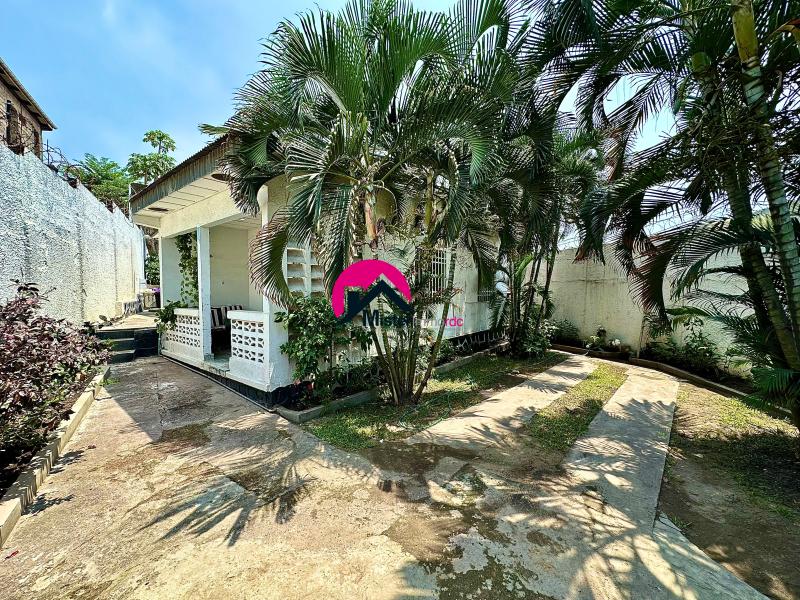 Vente dune villa de 11.75m sur 35.85m 30.83m et 5m dote dune maison basse habitable des 2CHS  annexe studio jardin etc. Basoko sur principale prs du Rp Safricas et JEWLS