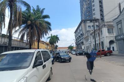 immobilier_vente_location TRESORMAYAYABUSINESS  