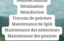 Service de nettoyage & Désinsectisation  mediacongo