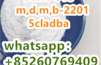 China big supplier for SGT-151 whatsapp：+85260769409 mediacongo